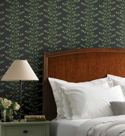 Climbing Vines Wallpaper - Black