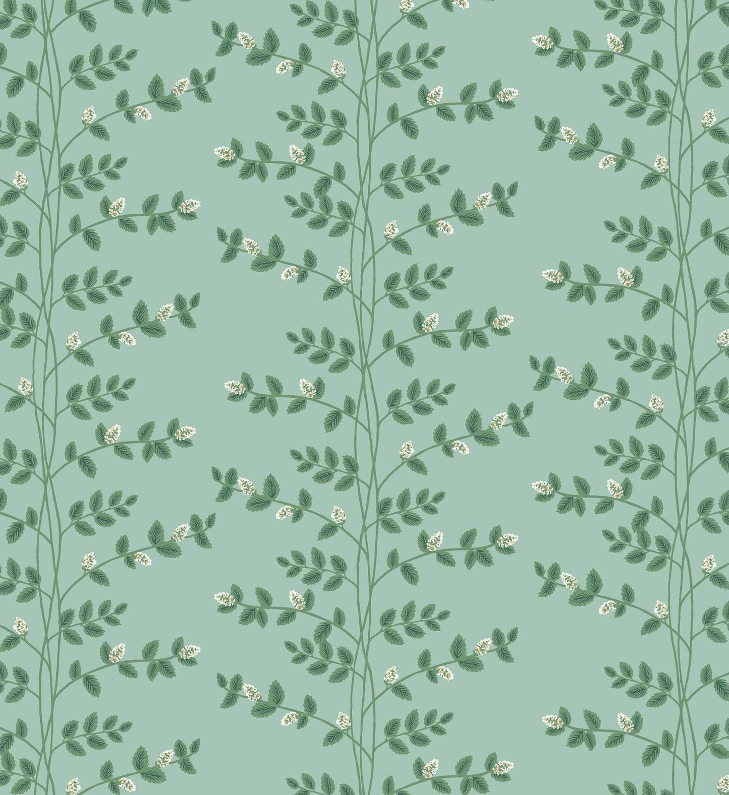 Climbing Vines Wallpaper - Teal