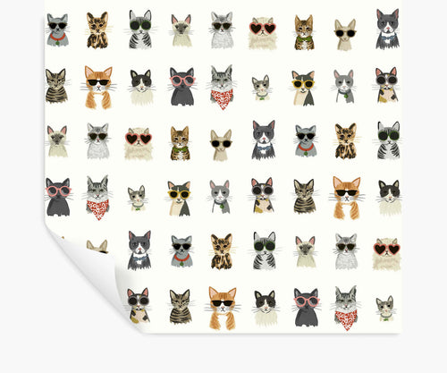 Cool Cats Peel & Stick Wallpaper - White Multi